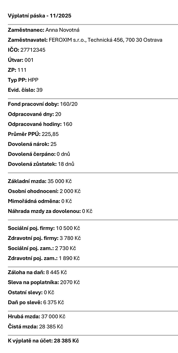 Ukázka modulu Výplatní pásky v aplikaci