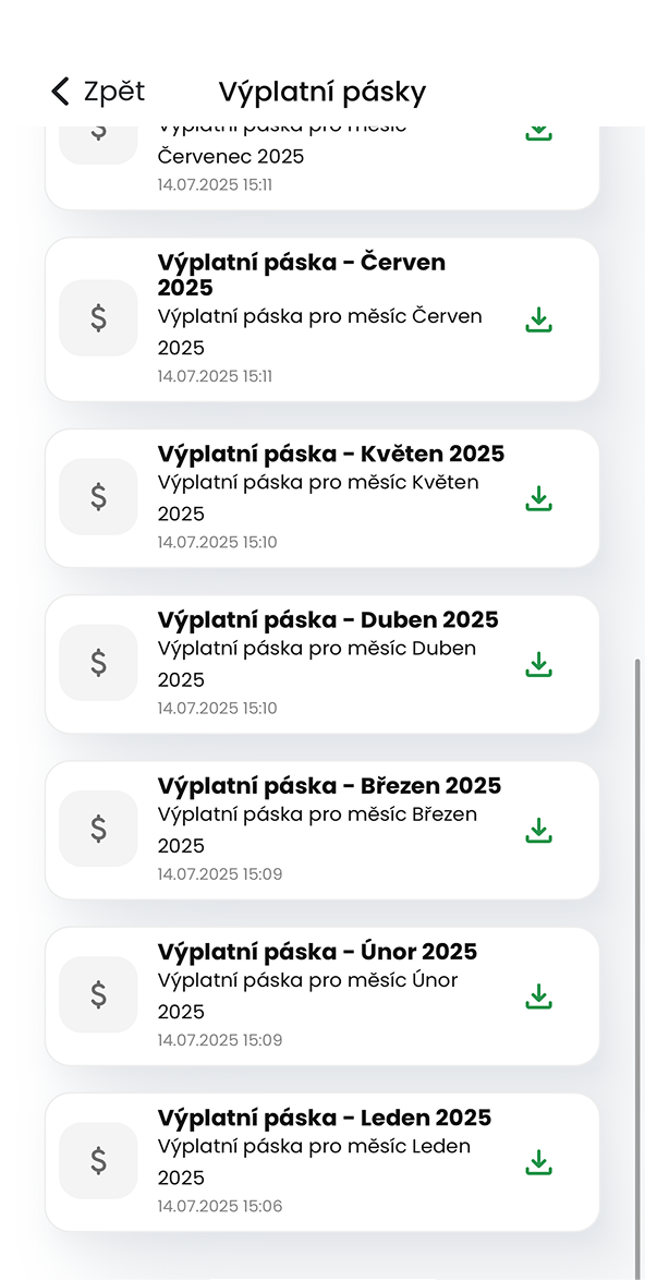 Ukázka modulu Výplatní pásky v aplikaci